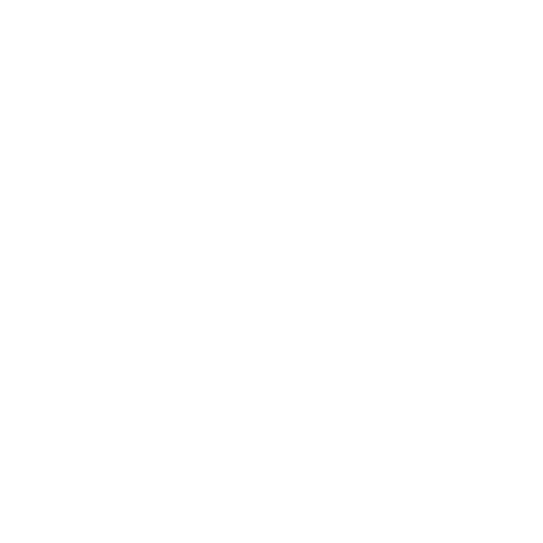 Tires icon